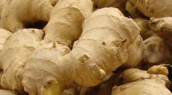 image of ginger
